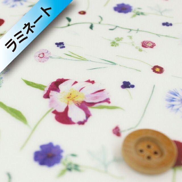 リバティ・ファブリックス タナローン【ラミネート加工】（Marta マルタ）パープルピンク【18-3638140・18AT】