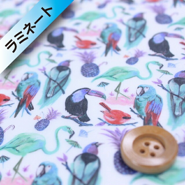 リバティ・ファブリックス タナローン【ラミネート加工】（Birds of Paradise バーズ・オブ・パラダイス）ブルー【3637173】