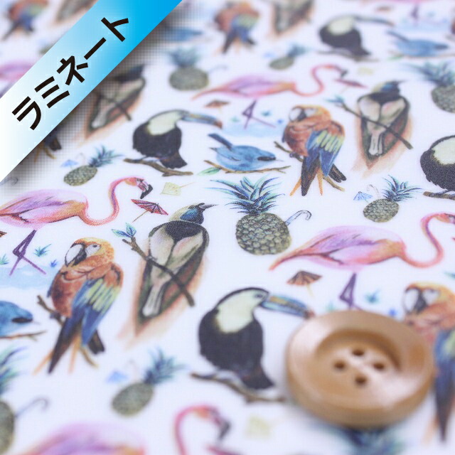 リバティ・ファブリックス タナローン【ラミネート加工】589（Birds of Paradise バーズ・オブ・パラダイス）オレンジ【3637173】