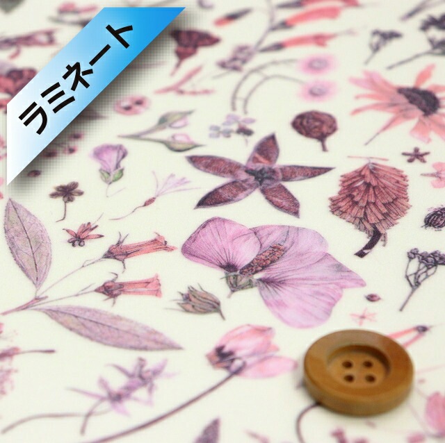 【サンドウオリジナルカラー】リバティ・ファブリックス タナローン【ラミネート加工】（Floral Eve フローラル・イヴ）ピンク【13-3633189・J20C】