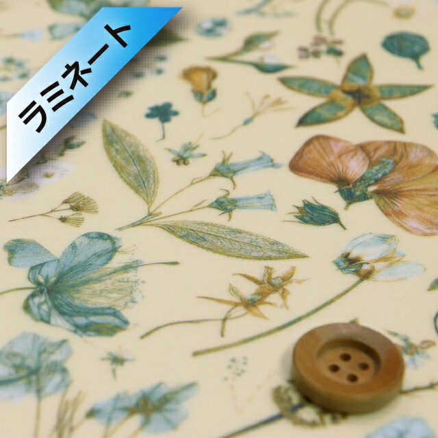 リバティプリント タナローン【ラミネート加工】（Floral Eve フローラル・イヴ）クリーム＆ライトブルー【13-3633189・WE】