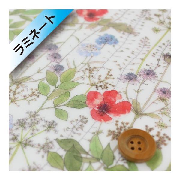 【サンドウ限定販売】リバティ・ファブリックス タナローン【ラミネート加工】250（Irma イルマSS／縮小版）レッド＆イエロー【3633182・CE　縮小版】
