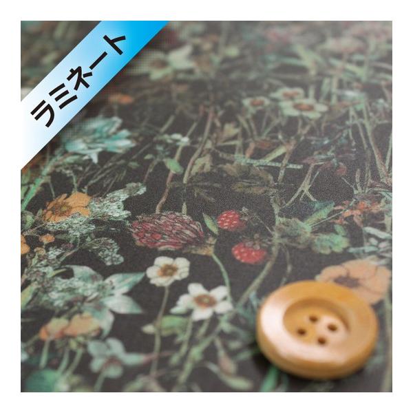 リバティ・ファブリックス タナローン【ラミネート加工】（Wild Flowers ワイルド・フラワーズ）ブラック【3634251・DE】
