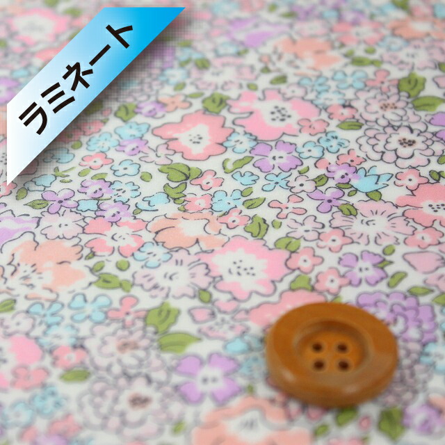 リバティ・ファブリックス タナローン【ラミネート加工】（Michelle ミシェル）クラシックピンク＆パープル【3636017・EE（E）】