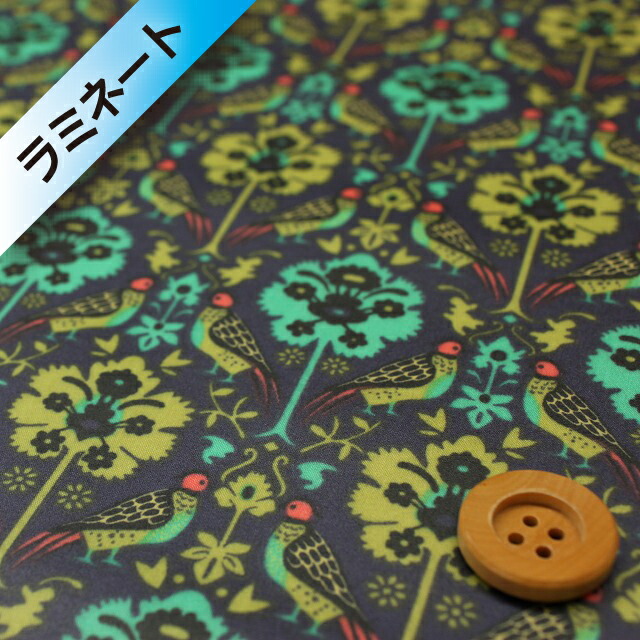 リバティ・ファブリックス タナローン【ラミネート加工】（Byrne バーン）グリーン＆ネイビー【15-3635282・15A】