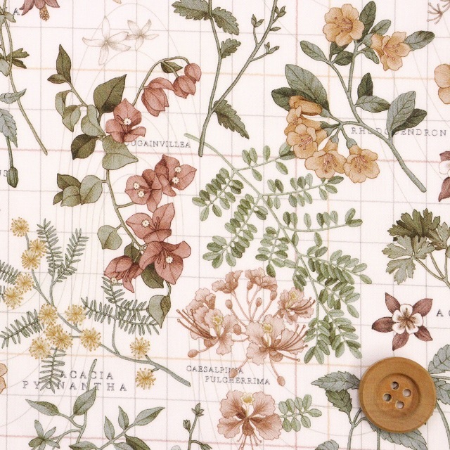 リバティプリント タナローン（Botanist's Journey ボタニストズ・ジャーニー）ライトブラウン【24-3634234・24BU】