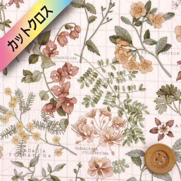 リバティプリント タナローン（Botanist's Journey ボタニストズ・ジャーニー）ライトブラウン【24-3634234・24BU】カットクロス