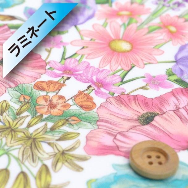 リバティ・ファブリックス タナローン【ラミネート加工】(Floral Muse フローラル・ミューズ)ピンク/ライトカラー【25-3635140・25CU】