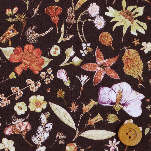 リバティ・ファブリックス タナローン（Floral Eve フローラル・イヴ）ブラウン【13-3633189・VE】