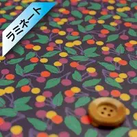 リバティ・ファブリックス タナローン【ラミネート加工】（Cherry Drop チェリー・ドロップ）パープル／40cm【20-36302124・20BT】