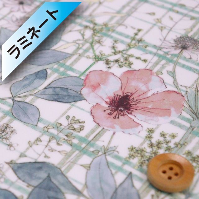 リバティ・ファブリックス タナローン【ラミネート加工】（Irma's Garden イルマズ・ガーデン）グリーン／20cm【DC33556/VE】