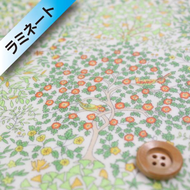 リバティ・ファブリックス,SANDOオリジナル,ラミネート | HOBBY SHOP SANDO