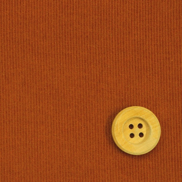 シャツコール（ナチュラルソフト加工）無地コーデュロイ／テラコッタ（6）