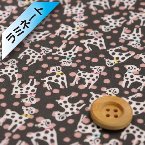 リバティ・ファブリックス,SANDOオリジナル,Dalmatian dots | HOBBY