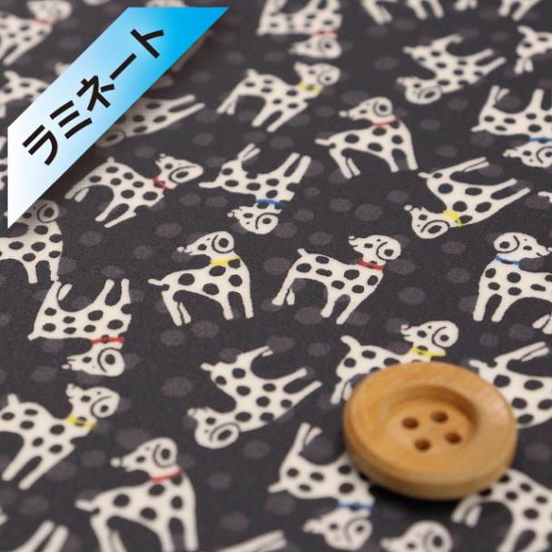 リバティ・ファブリックス,SANDOオリジナル,Dalmatian dots | HOBBY