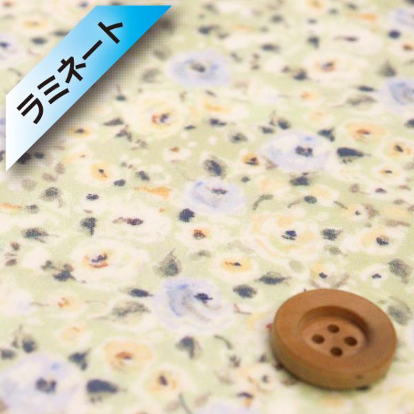 【サンドウ限定柄】リバティ・ファブリックス タナローン【ラミネート加工】（Dewy Rose デューイ・ローズ）フェリスグリーン／30cm【DC33983・J24A】
