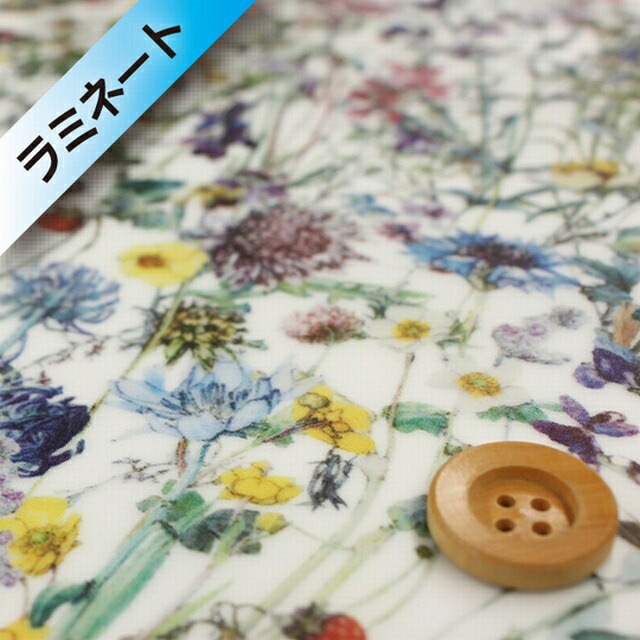 リバティ・ファブリックス タナローン【ラミネート加工】（Wild Flowers ワイルド・フラワーズ）モスグリーン＆カラフル／30cm【3634251・AE】