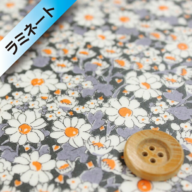 【サンドウ限定復刻色】リバティ・ファブリックス タナローン【ラミネート加工】（AliceW アリスW）ブラック／30cm【15-3635152・15C】