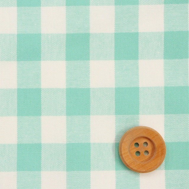 （太）パステルカラーギンガムチェック／グリーン【T/C生地】