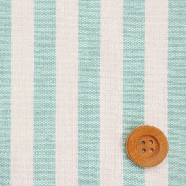 （太）パステルカラーストライプ／グリーン【T/C生地】