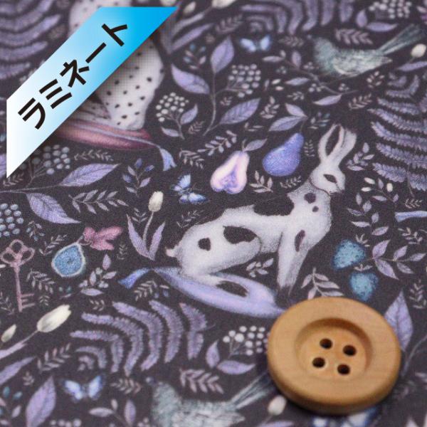 【サンドウオリジナルカラー】リバティ・ファブリックス タナローン【ラミネート加工】（Catherine Rowe キャサリン・ロウ）プリュノワール／20cm【20-36302200・J23A】