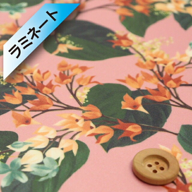 リバティ・ファブリックス タナローン【ラミネート加工】（Osterley オスタリー）ピンク地／20cm【21-3631222・SD21C】