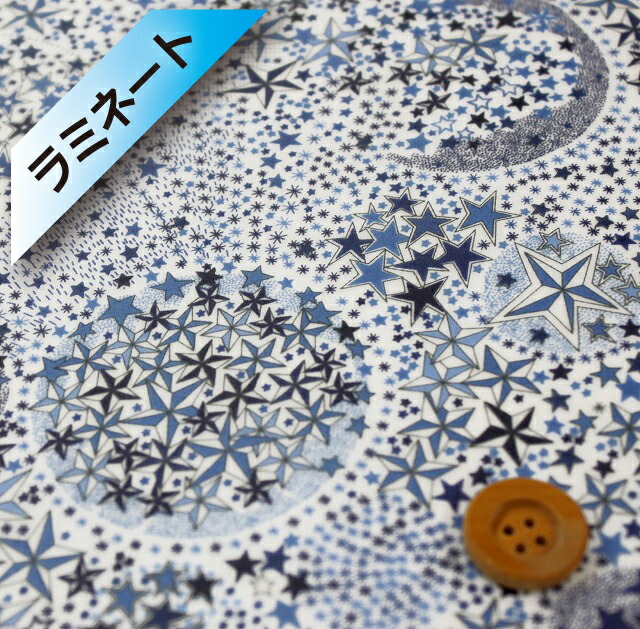リバティ・ファブリックス タナローン【ラミネート加工】（Adelajda アデラジャ）ブルー／20cm【11-3631256・LDE】