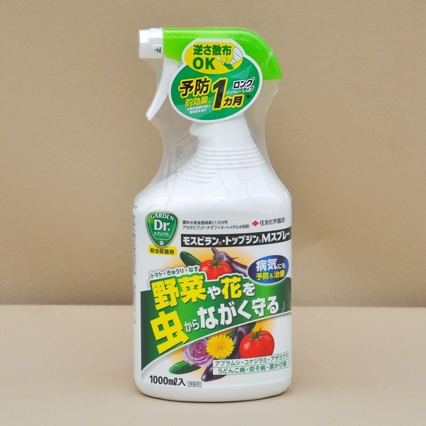 ⥹ԥ ȥåץMץ졼 1000ml ZIK-10000