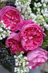 Хġġۥե  6ȭʡӿ建 ϿʼϡHan-HS