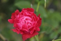 ХġġۥƥڥϡػΡ  6ȭʡJ-OB20