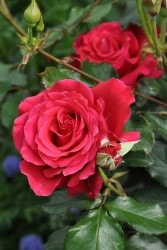 ġۥХ ߥ  6ȭʡӿ建 ϿʼϡHan-HS