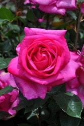 ġۥХ ѥ  6ȭʡJ-HT10