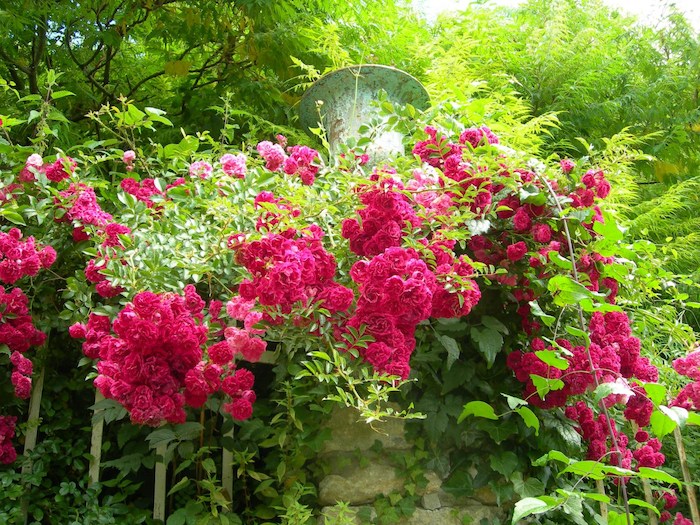 ġۥХ åɥɥѡ󥹡ڥ륵  6ȭʡJ-OC20