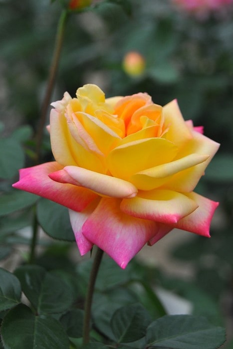 Хġġۥ&ԡ  6ȭʡJ-HT20