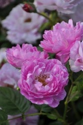 ġۥХ ֥ܥ󥯥  6ȭʡJ-OC20