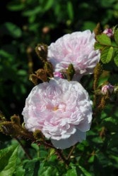 ġۥХ Сɥ٥  6ȭʡJ-OC20