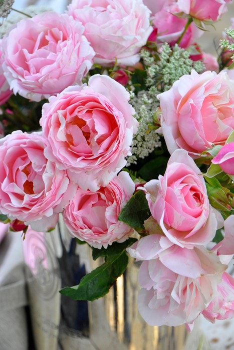 ���ߵ����ġۥХ��� �ӥ��ɥ��� ���� 6��ȭ�����ʡ����ӿ建�� ��Ͽ�ʼ�ϡ�Han-DEL�ա�0109�����