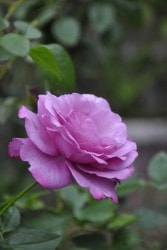 �Х��ġ����ġۥե��를����� ���� 6��ȭ�����ʡ����ӿ建�� ��Ͽ�ʼ�ϡ�IR-IRO4��