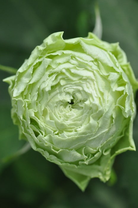 Хġġۥơ  6ȭʡηʼϡJ-ROա1104