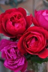 ХġġۤϤ  6ȭʡηʼϡOS-OS2