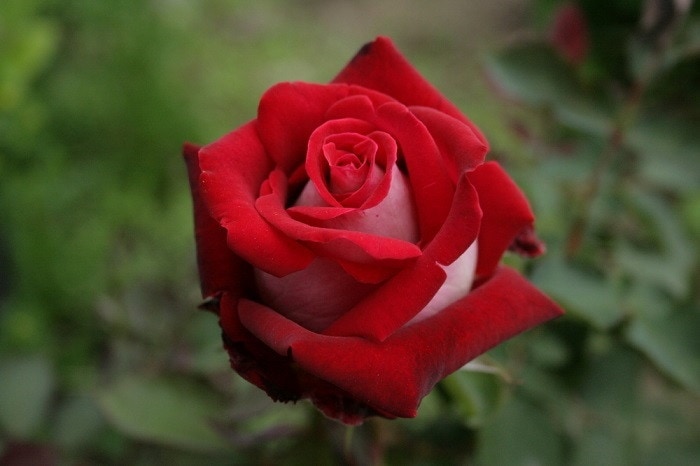 Хġڿġۥꥢ ġJ-HT20