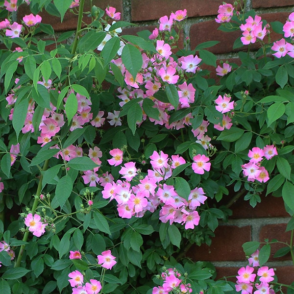 ХġġۤϤʤڲ־  6ȭʡηʼϡKMG-KMG