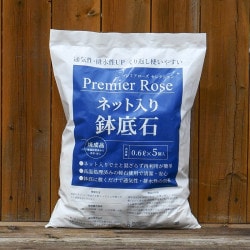 �ͥå�����ȭ���� �ץ�ߥ����������쥯����� ZIK-10000