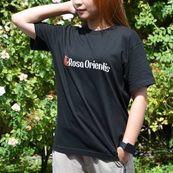 ロングスリーブ Tシャツ メンズ ロンT ロングtシャツ おしゃれ