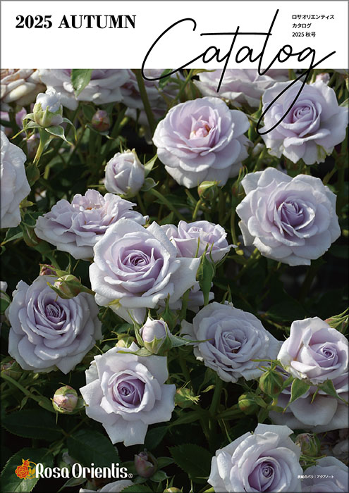 2025秋号 ロサオリエンティス カタログ ☆ネコポス便にて発送 代引不可
