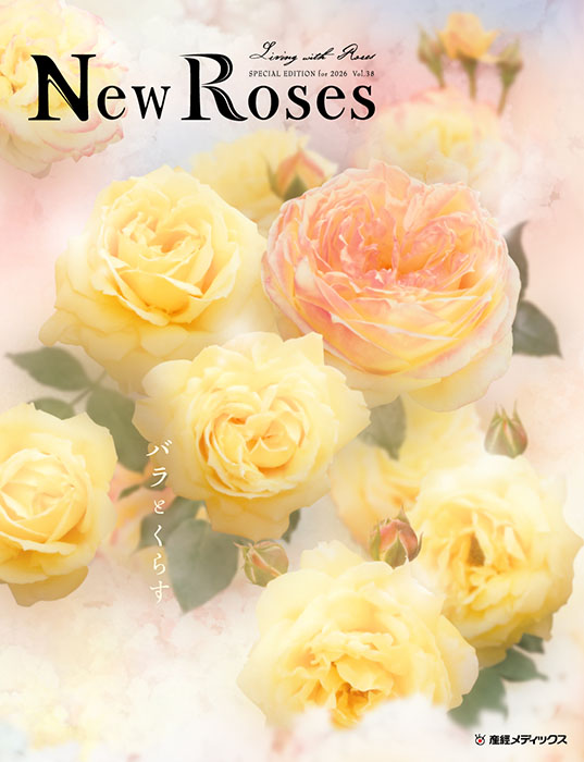最新刊】vol.38【本】New Roses SPECIAL EDITION for 2026 vol.38