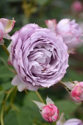 ۡġۥХ Υꥹ  6ȭʡӿ建 ϿʼϡJ-IRM3 ָ