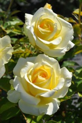 ۡġۥХ   6ȭʡJ-HT10 ָ