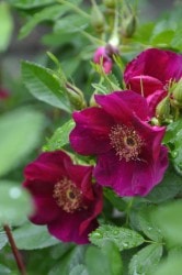 ۡġۥХ ١ѡץ  6ȭʡJ-OB20 ָ