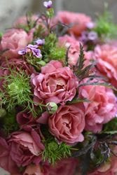 �����ġۥХ��� �����å� ���� 6��ȭ�����ʡ����ӿ建�� �ʼ���Ͽ�д���ϡ�Kb-RM��2025�����ʼ�